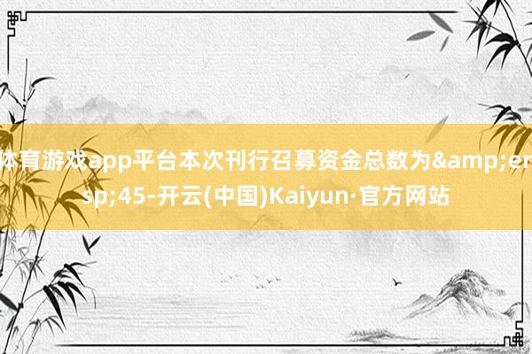体育游戏app平台本次刊行召募资金总数为 45-开云(中国)Kaiyun·官方网站