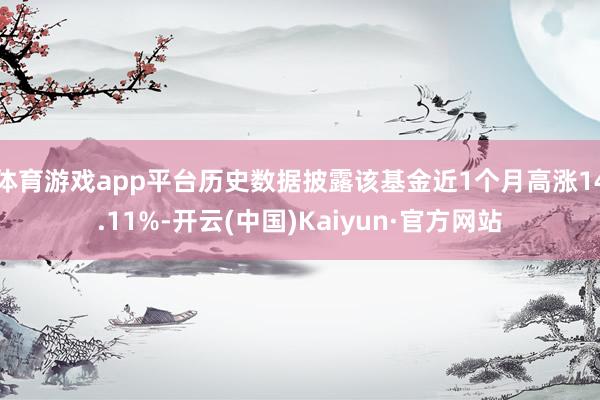 体育游戏app平台历史数据披露该基金近1个月高涨14.11%-开云(中国)Kaiyun·官方网站