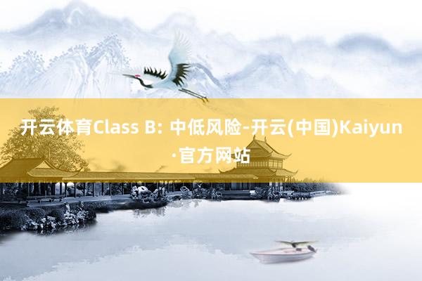开云体育Class B: 中低风险-开云(中国)Kaiyun·官方网站