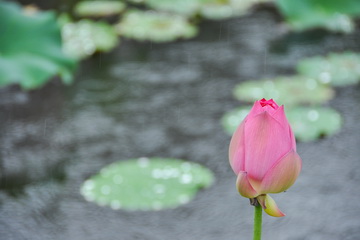 九游老哥J9俱乐部官网 - J9俱乐部老哥互换社区