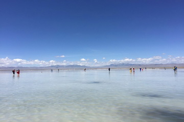 九游老哥J9俱乐部官网 - J9俱乐部老哥互换社区