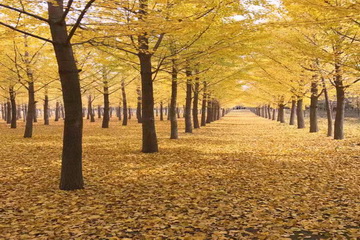 九游老哥J9俱乐部官网 - J9俱乐部老哥互换社区