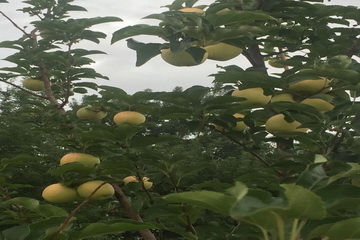 九游老哥J9俱乐部官网 - J9俱乐部老哥互换社区