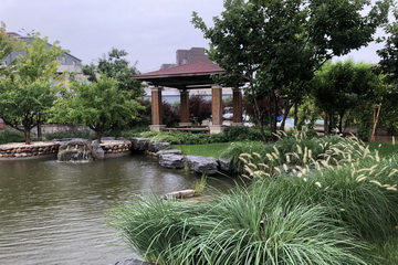 九游老哥J9俱乐部官网 - J9俱乐部老哥互换社区