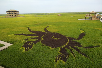 九游老哥J9俱乐部官网 - J9俱乐部老哥互换社区