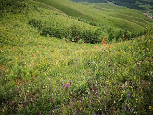 九游老哥J9俱乐部官网 - J9俱乐部老哥互换社区