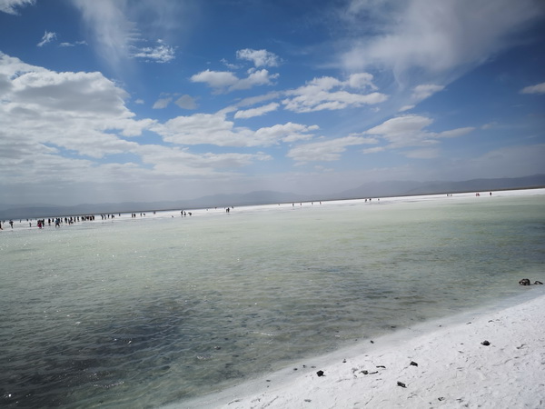 九游老哥J9俱乐部官网 - J9俱乐部老哥互换社区