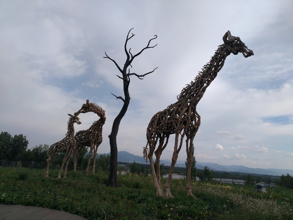 九游老哥J9俱乐部官网 - J9俱乐部老哥互换社区