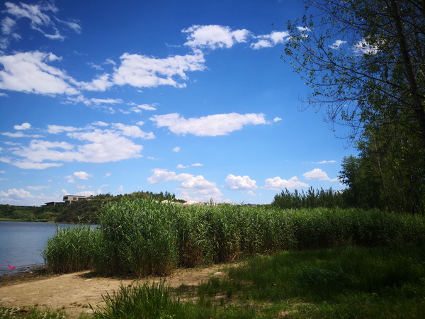 九游老哥J9俱乐部官网 - J9俱乐部老哥互换社区