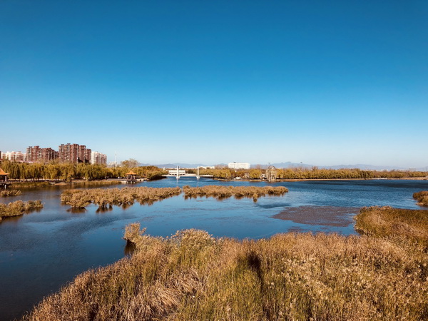 九游老哥J9俱乐部官网 - J9俱乐部老哥互换社区