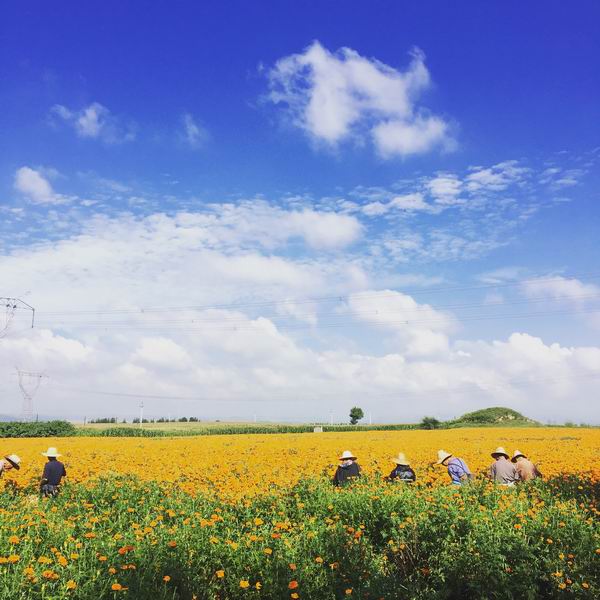 九游老哥J9俱乐部官网 - J9俱乐部老哥互换社区