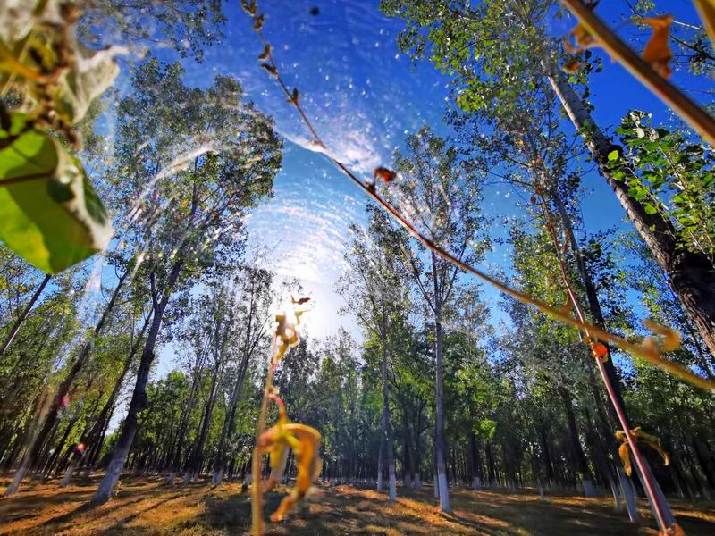 九游老哥J9俱乐部官网 - J9俱乐部老哥互换社区