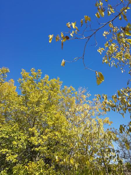 九游老哥J9俱乐部官网 - J9俱乐部老哥互换社区