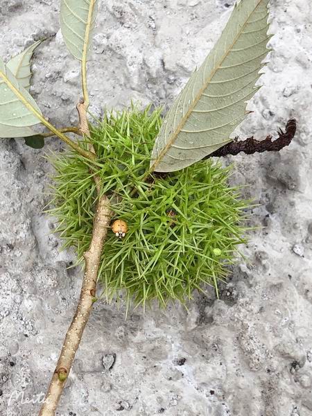 九游老哥J9俱乐部官网 - J9俱乐部老哥互换社区