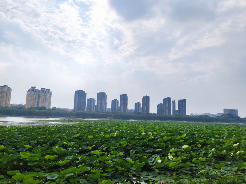 九游老哥J9俱乐部官网 - J9俱乐部老哥互换社区