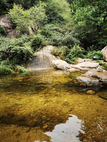 九游老哥J9俱乐部官网 - J9俱乐部老哥互换社区