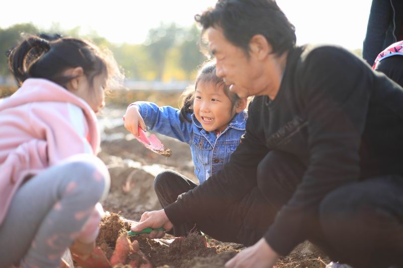 九游老哥J9俱乐部官网 - J9俱乐部老哥互换社区