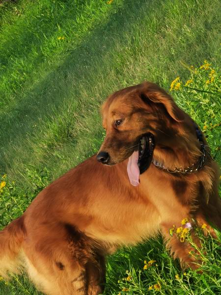 九游老哥J9俱乐部官网 - J9俱乐部老哥互换社区