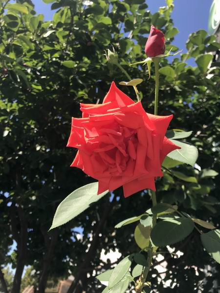 九游老哥J9俱乐部官网 - J9俱乐部老哥互换社区