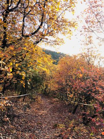 九游老哥J9俱乐部官网 - J9俱乐部老哥互换社区