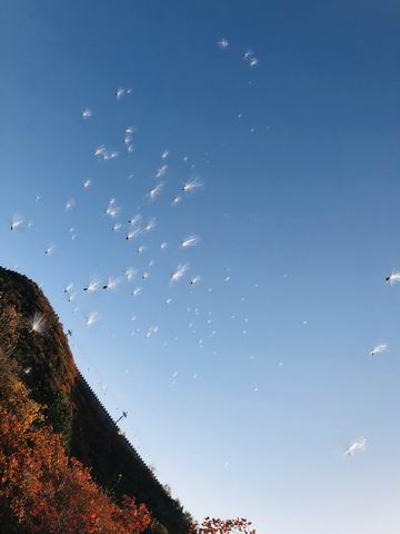 九游老哥J9俱乐部官网 - J9俱乐部老哥互换社区