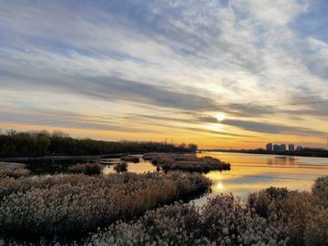 九游老哥J9俱乐部官网 - J9俱乐部老哥互换社区