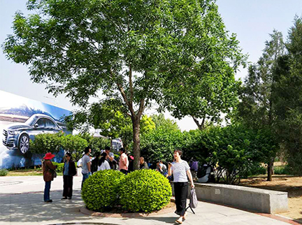 九游老哥J9俱乐部官网 - J9俱乐部老哥互换社区