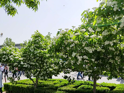 九游老哥J9俱乐部官网 - J9俱乐部老哥互换社区