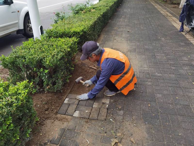 九游老哥J9俱乐部官网 - J9俱乐部老哥互换社区