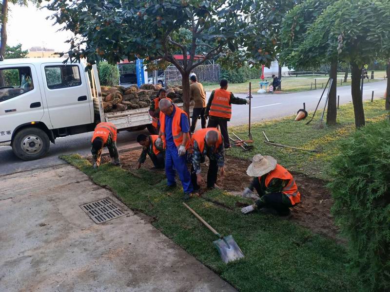 九游老哥J9俱乐部官网 - J9俱乐部老哥互换社区