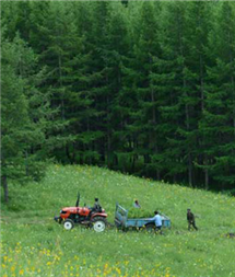 九游老哥J9俱乐部官网 - J9俱乐部老哥互换社区