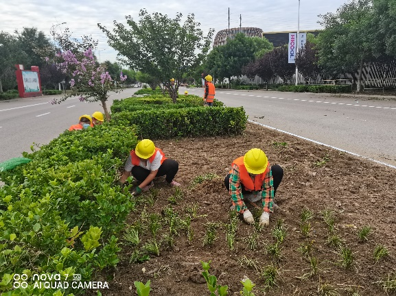 20220825142951_28285