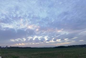 九游老哥J9俱乐部官网 - J9俱乐部老哥互换社区