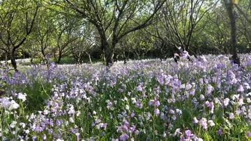 九游老哥J9俱乐部官网 - J9俱乐部老哥互换社区