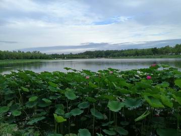 九游老哥J9俱乐部官网 - J9俱乐部老哥互换社区