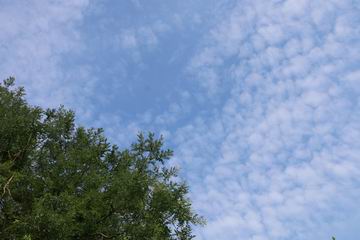 九游老哥J9俱乐部官网 - J9俱乐部老哥互换社区