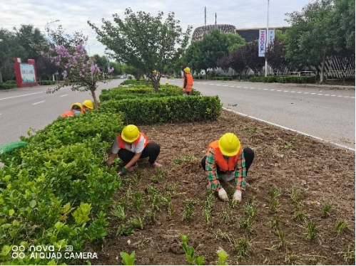 九游老哥J9俱乐部官网 - J9俱乐部老哥互换社区