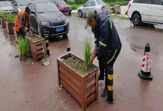 20230307154710_19431