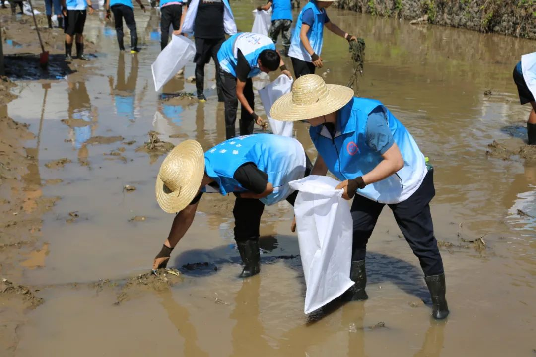 九游老哥J9俱乐部官网 - J9俱乐部老哥互换社区